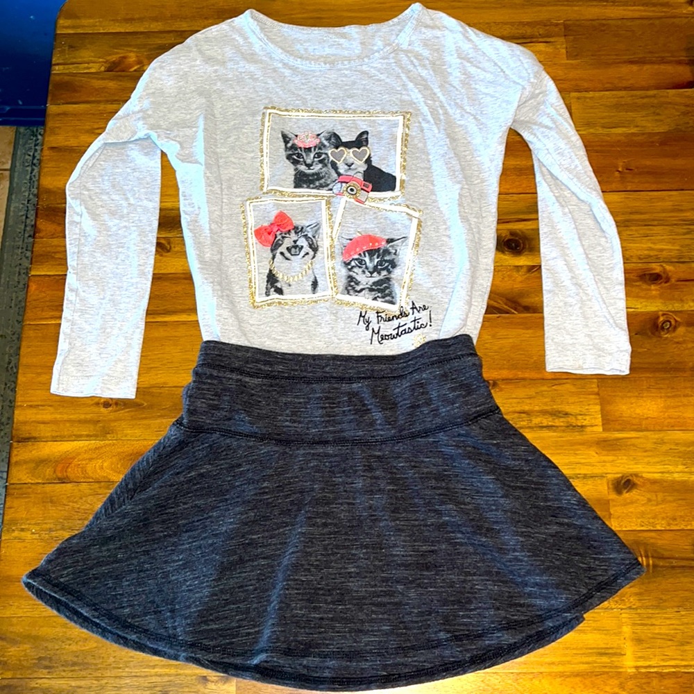 Girls Gymboree shirt and skirt set. Great condition/lightly worn.
